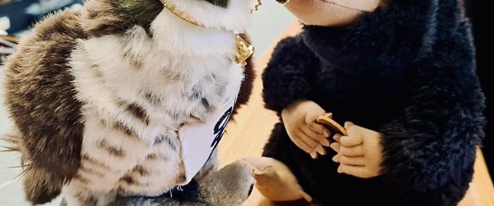 4. Liga Spieltag in Rietberg